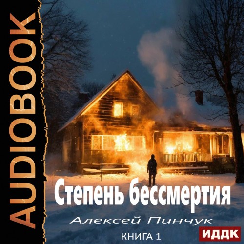 Алексей Пинчук - Степень бессмертия. Книга 1 (2025) МР3 скачать торрент